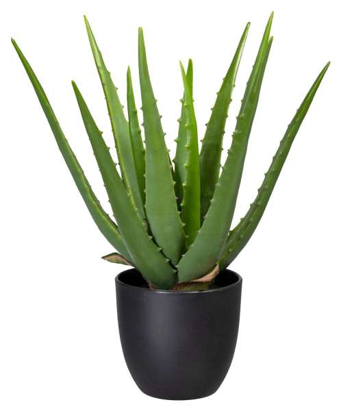 Kunstpflanze Aloe Vera VERALOE