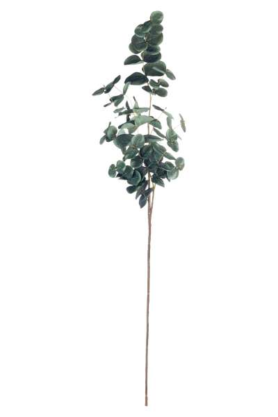 Kunstpflanze Eukalyptuszweig EVRIN