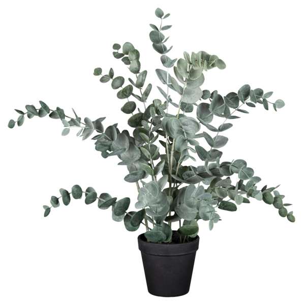 Kunstpflanze Eukalyptus NELE